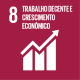 Objetivo de Desenvolvimento Sustentável 8